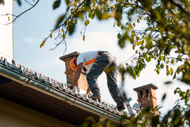Quick and Trustworthy Emergency Roof Repair Services in Geneseo, IL