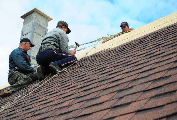 Professional Roofing Contractor in Geneseo, IL