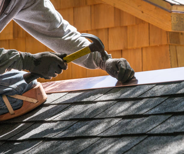 Best Roof Gutter Cleaning  in Geneseo, IL